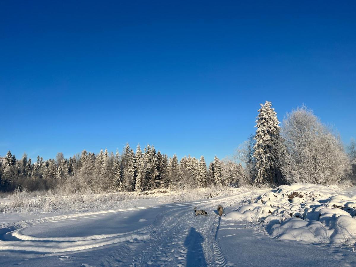Pokoje U Danusi Czarna Góra Eksteriør bilde